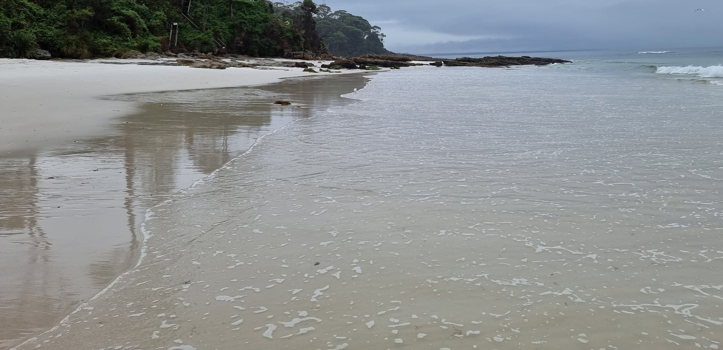 A serene scene with gentle waves lapping at the shore, surrounded by lush greenery and overcast skies.