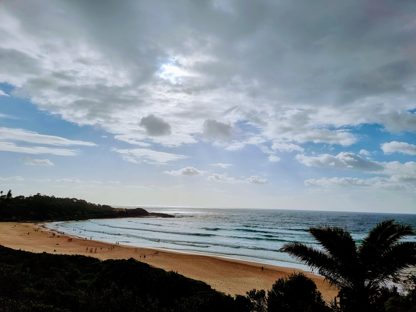 BT26 Freshwater, Sydney. "Good morning"