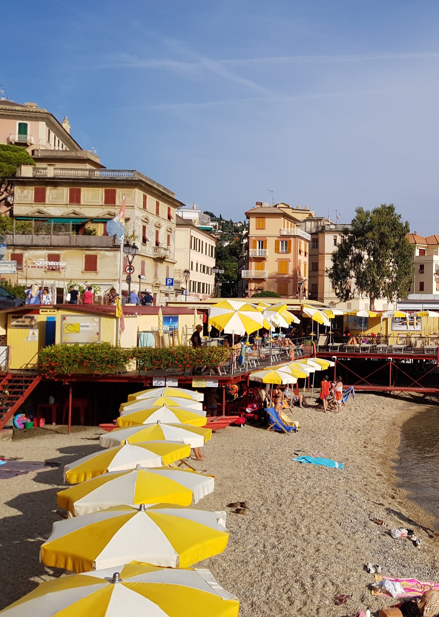 BT29 Hello yellow-Italian Riviera