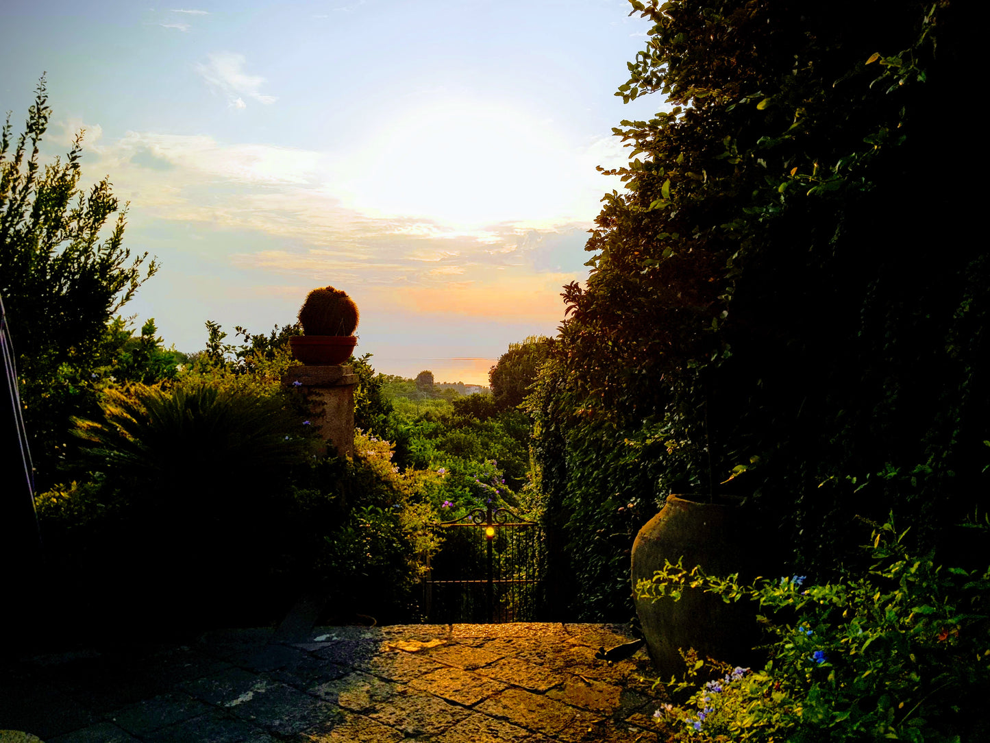 BT50 The Villa. Rambling Garden