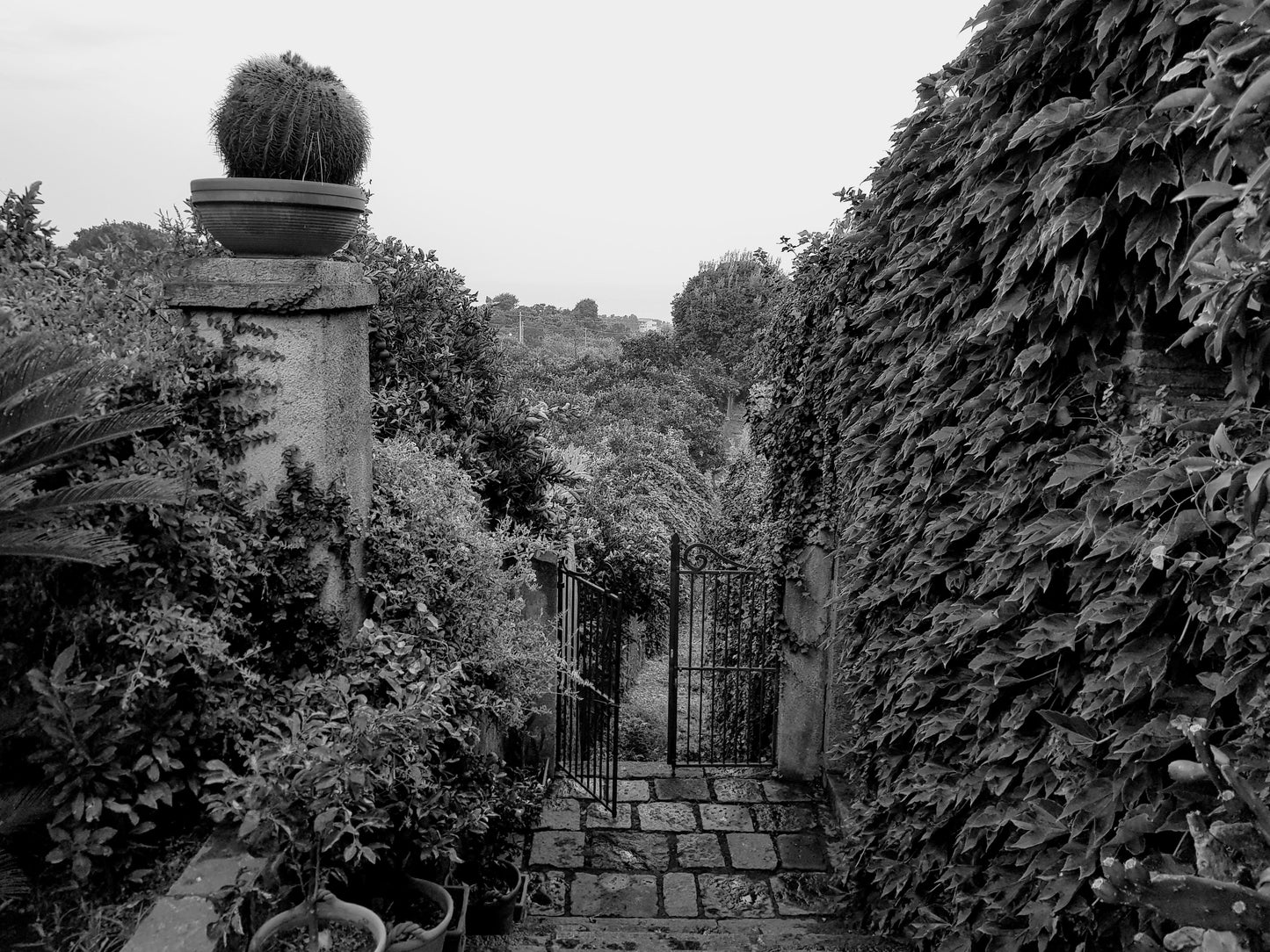 BT47 Villa in Sicily. Rambling Garden". BW