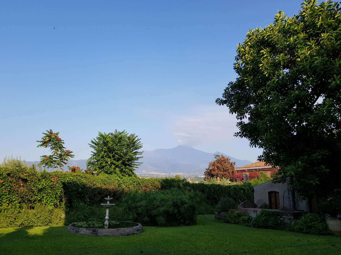 BT51 Sicily. Mt Etna