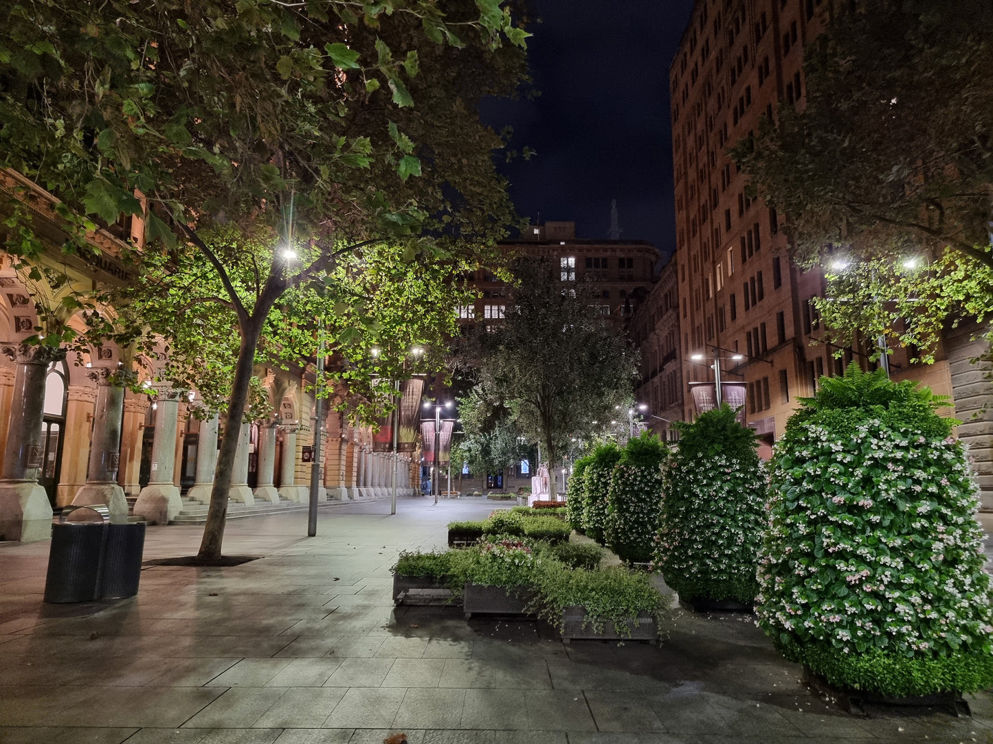 pre-dawn photo capturing the granite columns of the GPO Martin Place and decorative plantings.