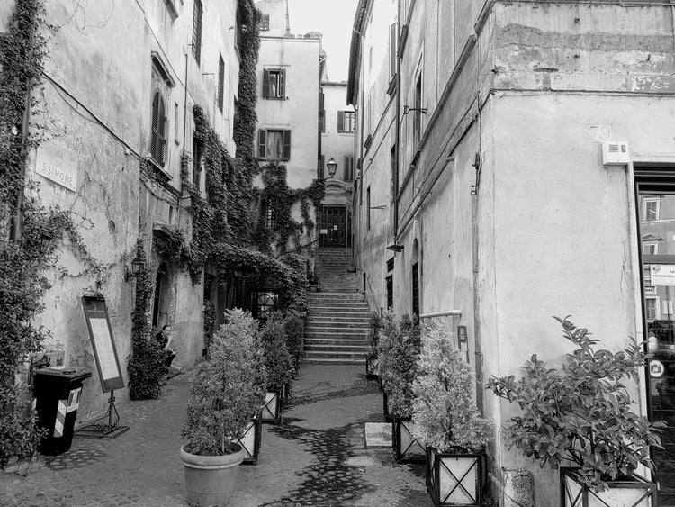 Under The Tuscan Sun