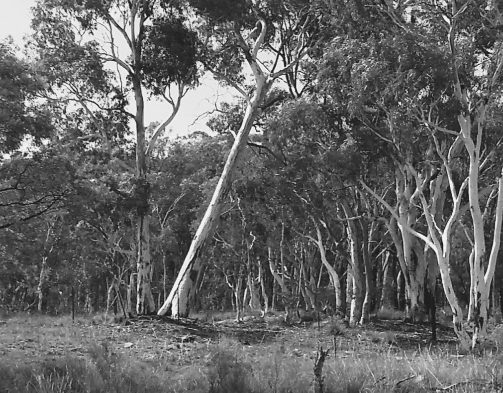 Solitude fine art photographic prints