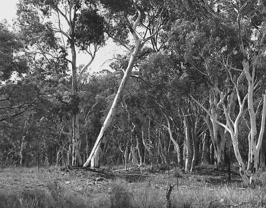 Solitude fine art photographic prints