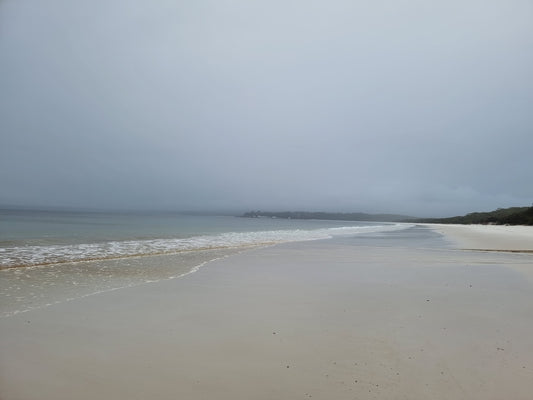 BT1 Misty morning walks