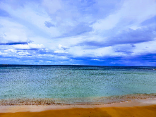 BT25 "Barely a ripple". Dee Why beach