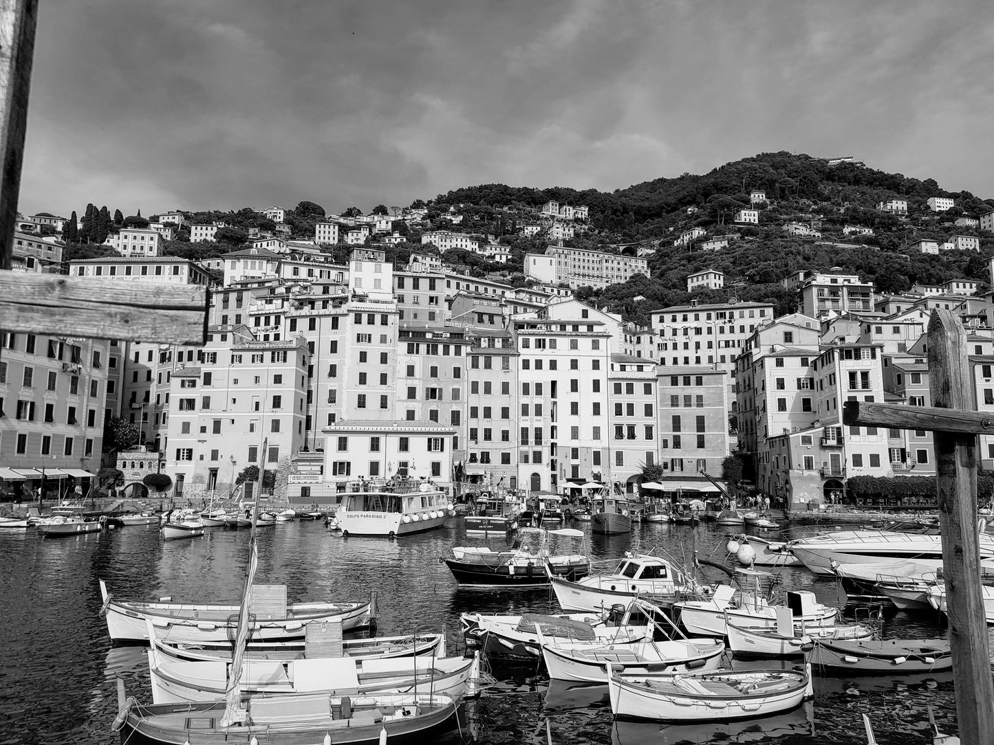 BT40 Italy. Camogli, Ligurian Coast. BW