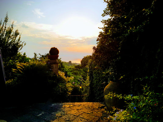 BT50 The Villa. Rambling Garden