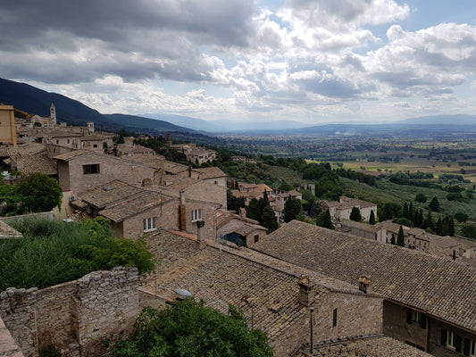 BT55 Tuscan Vistas