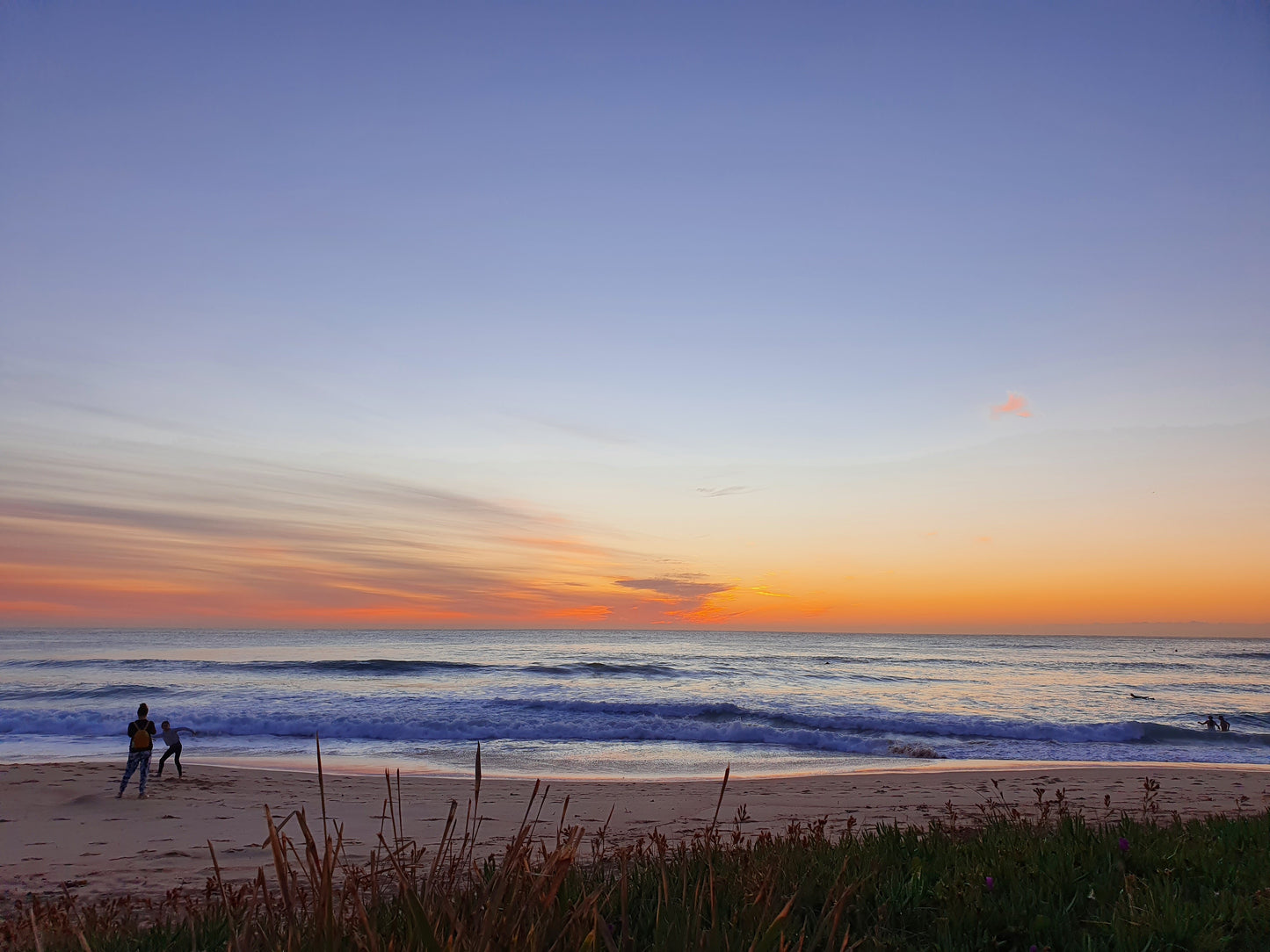 Soft dawn light falls on Dee Why Beach. And viewed through the beach grasses are a few people at play.