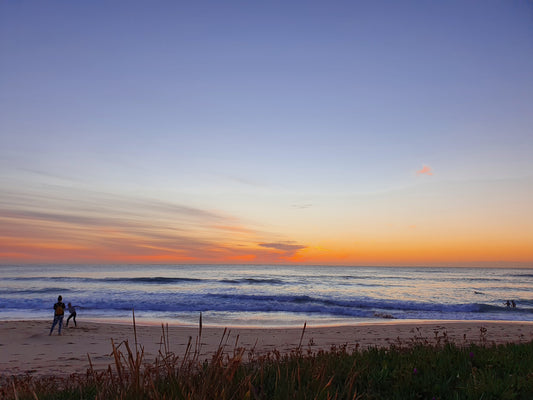 Soft dawn light falls on Dee Why Beach. And viewed through the beach grasses are a few people at play.