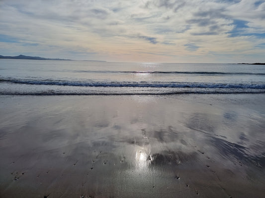 BT7 Bermagui. Horseshoe Bay, morning light